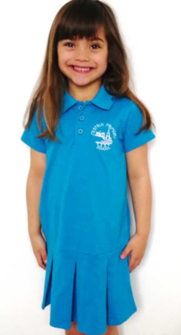 Polo Dress resize