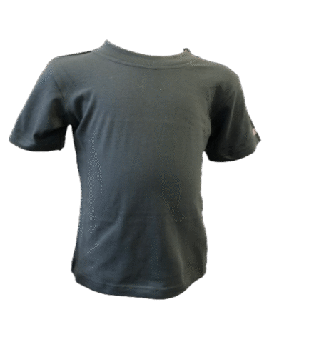 Gray T-Shirt Front